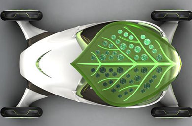 � ������ ������� ������� ������������� SAIC Leaf