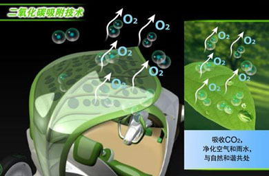 � ������ ������� ������� ������������� SAIC Leaf