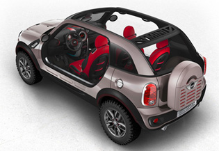 � �������� ������� ������� ����������� ������������ Mini Beachcomber 