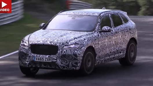 Jaguar ���������� ���� ����������� ���������