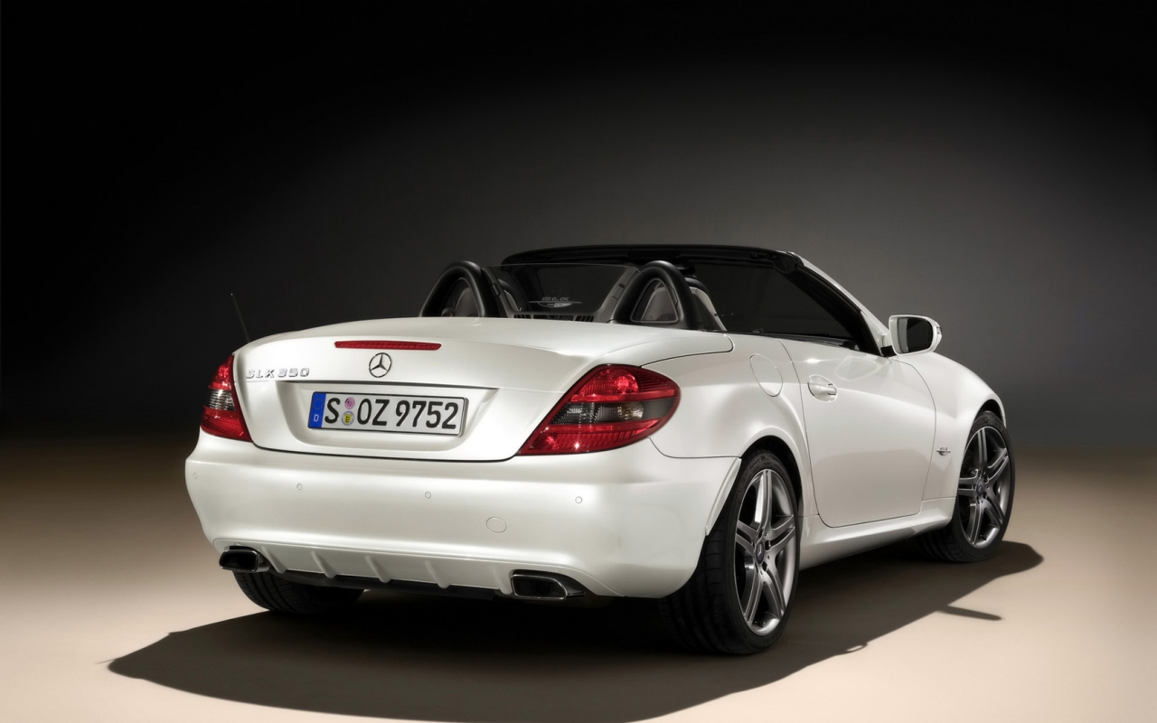 Mercedes-Benz E-Class 2010 ������������� ����
