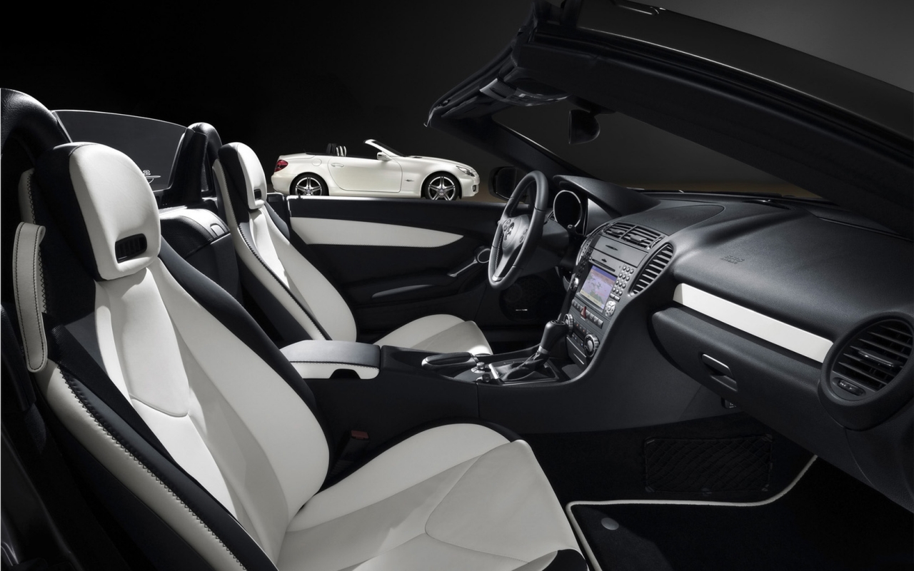 Mercedes-Benz SLK 2LOOK Edition 2009 ������������� ����