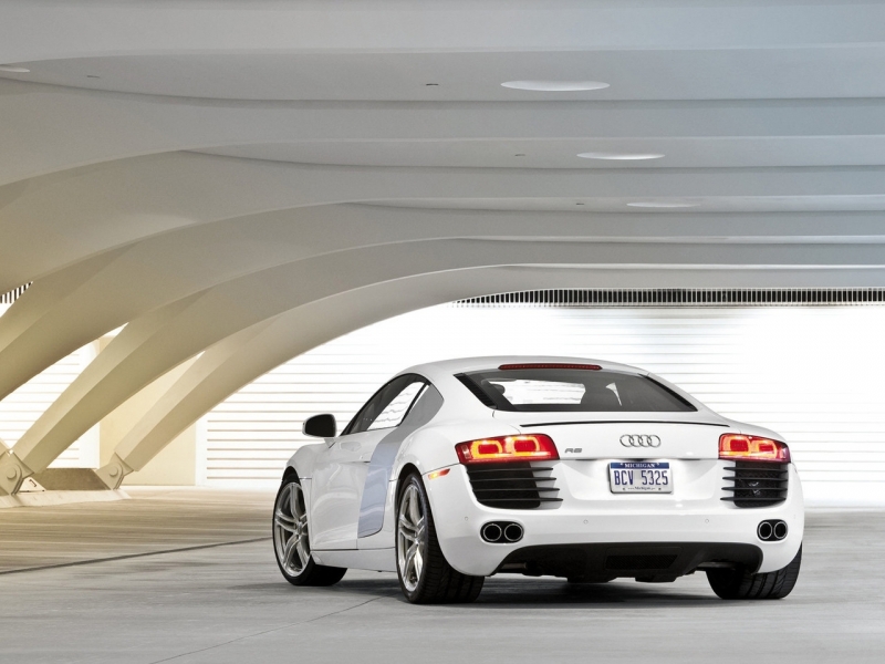  Audi R8 2008   ������������� ����