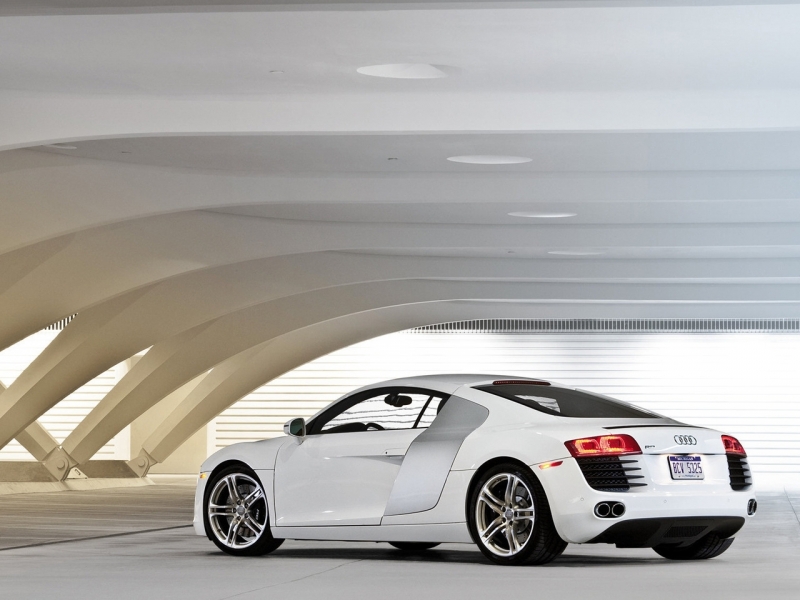  Audi R8 2008   ������������� ����