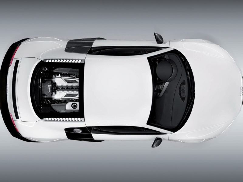 Audi R8 5.2 FSI quattro 2009  ������������� ����
