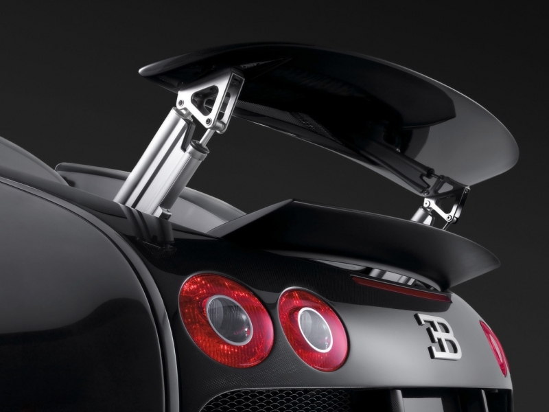 Bugatti Veyron EB 16.4 2008  ������������� ����