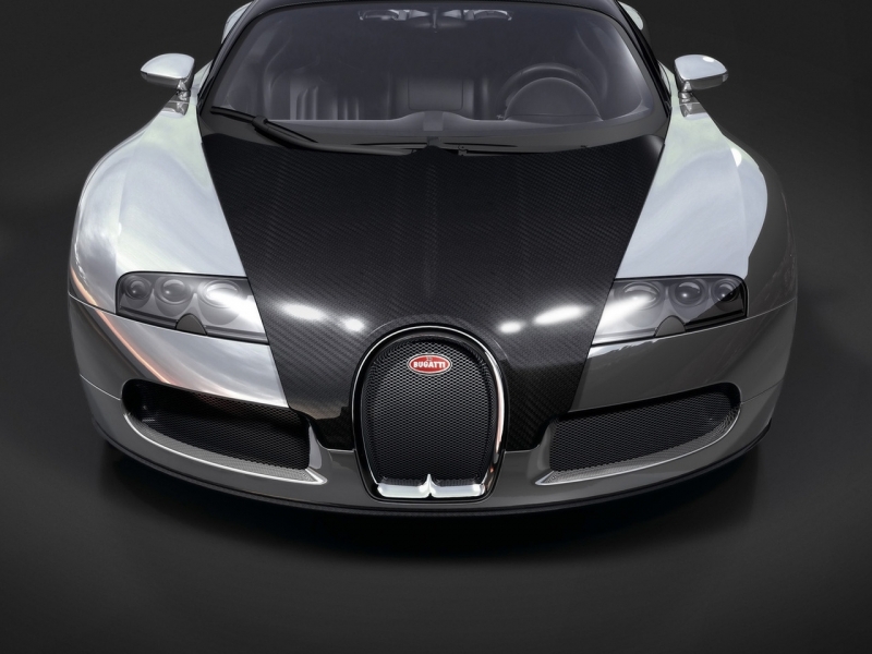 Bugatti Veyron EB 16.4 2008  ������������� ����