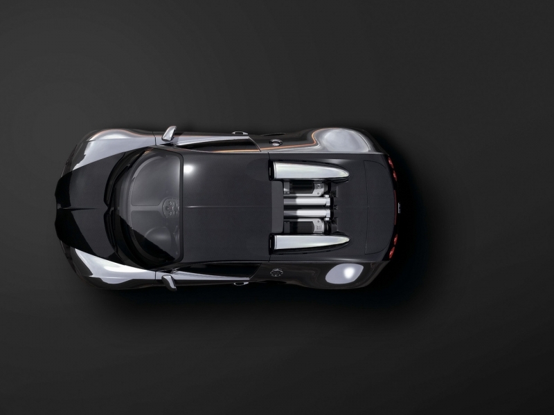 Bugatti Veyron EB 16.4 2008  ������������� ����