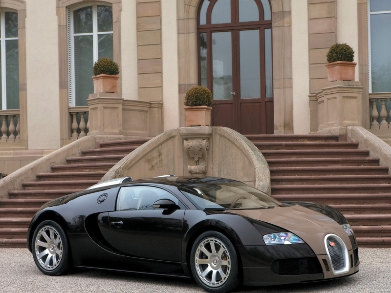 Bugatti Veyron Fbg par Hermes 2008 ������������� ����