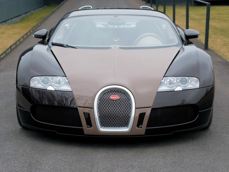 Bugatti Veyron Fbg par Hermes 2008 ������������� ����