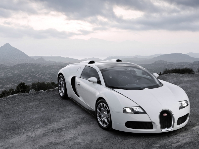 Bugatti Veyron Grand Sport 2009 ������������� ����