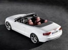 Audi A5 Cabriolet 2010
