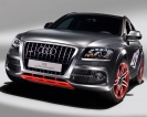 Audi Q5 Custom Concept 2009 