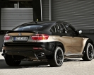 BMW X6 Falcon AC Schnitzer 2008 