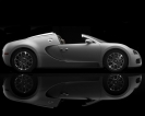 Bugatti Veyron Grand Sport 2009 
