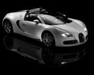 Bugatti Veyron Grand Sport 2009 