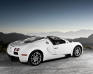 Bugatti Veyron Grand Sport 2009 