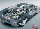 Bugatti Veyron Study-2