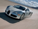 Bugatti Veyron Targa 2006