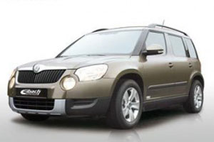 �������� Eibach ���������� �������� �������� ���������� Skoda Yeti