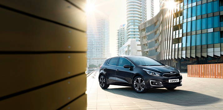 Major Auto ���������� ������� �� KIA 