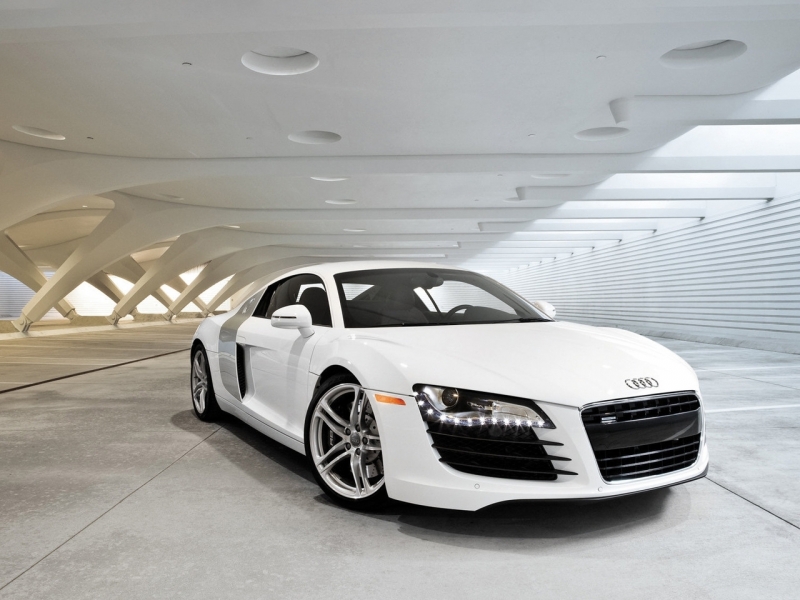  Audi R8 2008   ������������� ����
