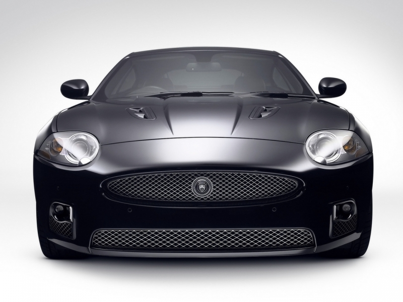 Jaguar XKR Portfolio 2008 ������������� ����