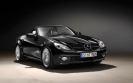 Mercedes-Benz SLK 2LOOK Edition 2009